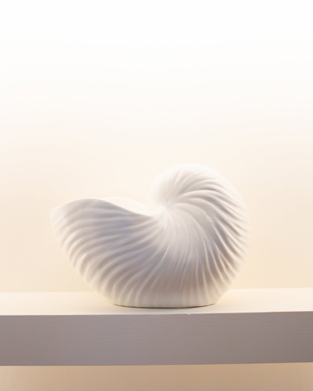 587084548_17855565084569864_8493161533567828383_n